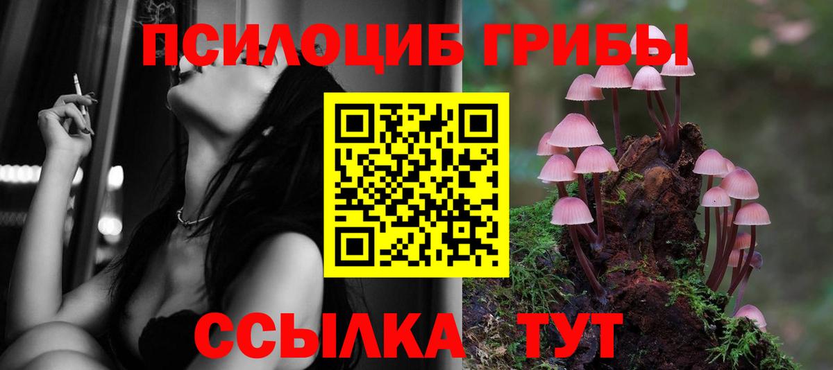 Черногорск  Псилоцибиновые грибы мицелий  Вход с VPN 